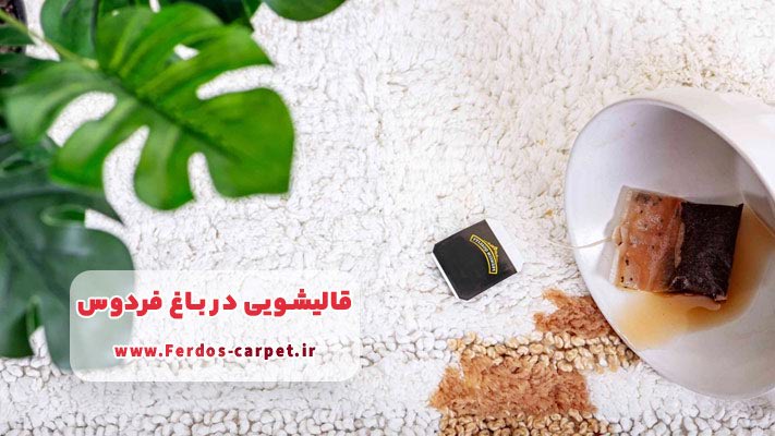 لکه‌برداری حرفه‌ای و ازبین‌بردن لکه‌های سخت
